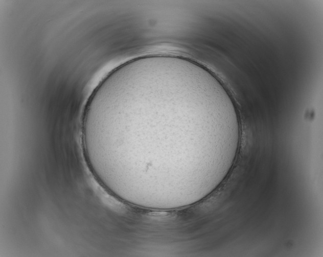X0000111601478200908061402