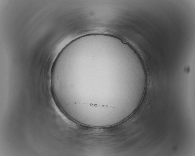X0000111601479200908061402