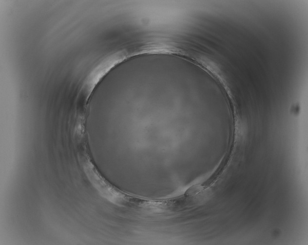 X0000111601481200908061402