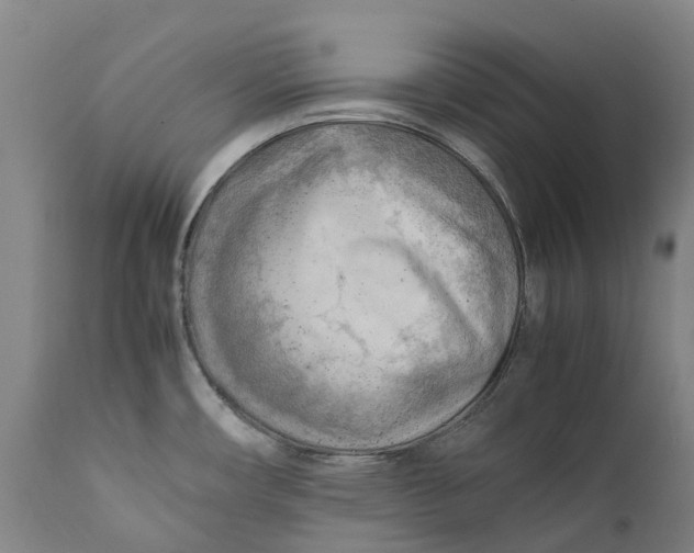 X0000111601482200908061402