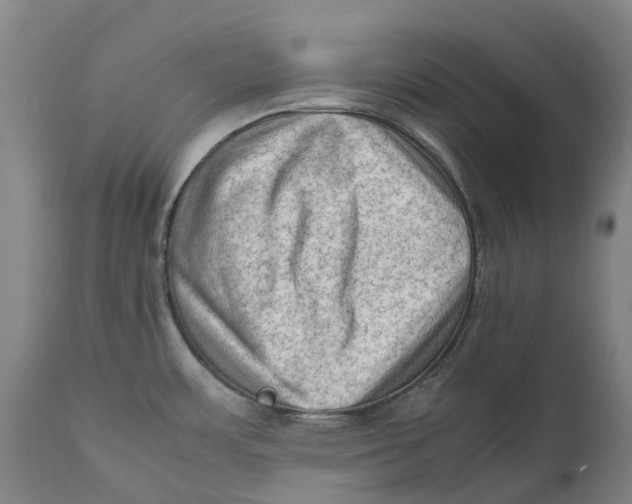 X0000111601483200908061402