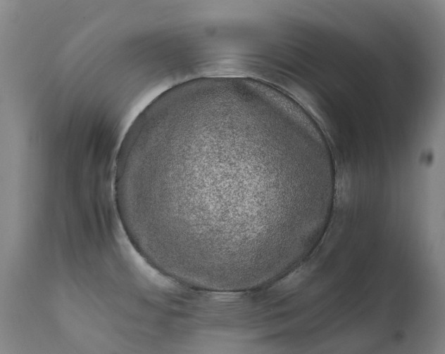 X0000111601484200908061402