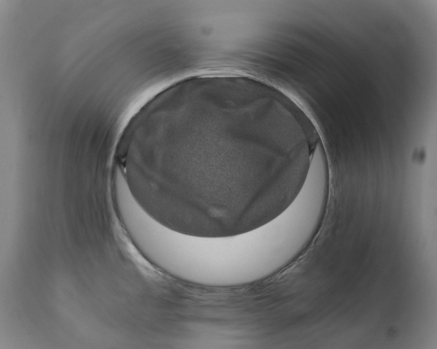 X0000111601485200908061402