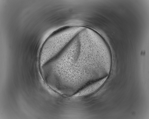 X0000111601488200908061402