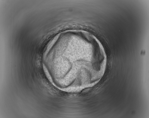 X0000111601490200908061401