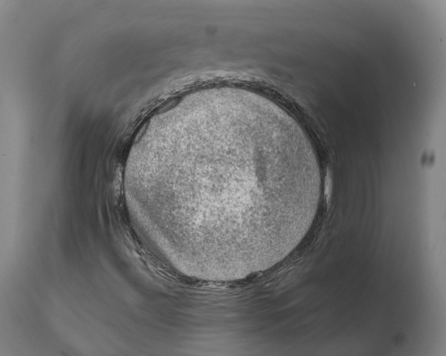 X0000111601492200908061401
