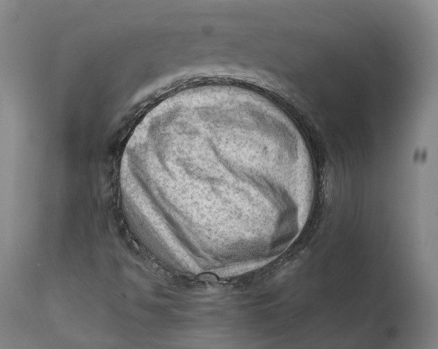 X0000111601494200908061401