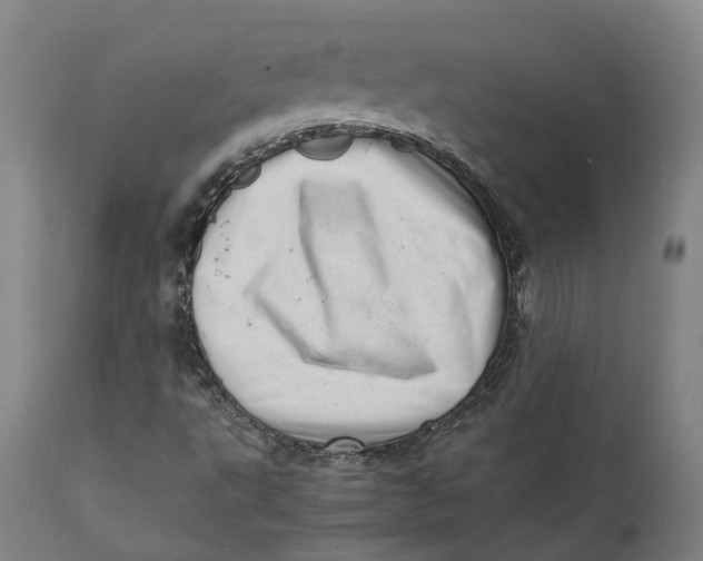 X0000111601495200908061402