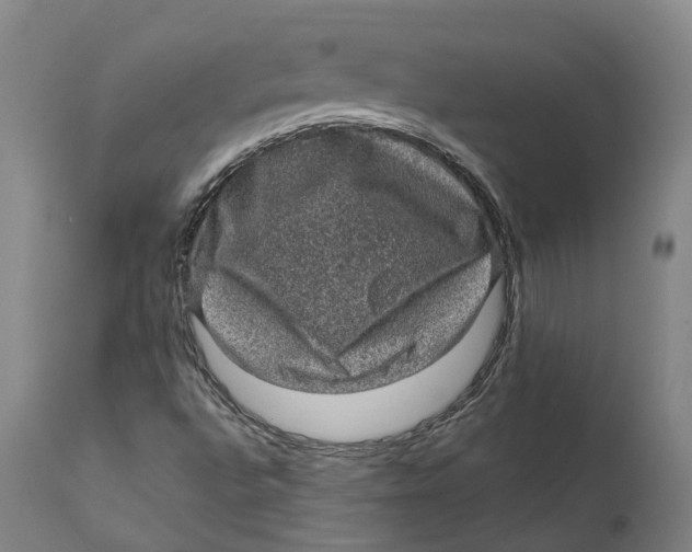 X0000111601496200908061402
