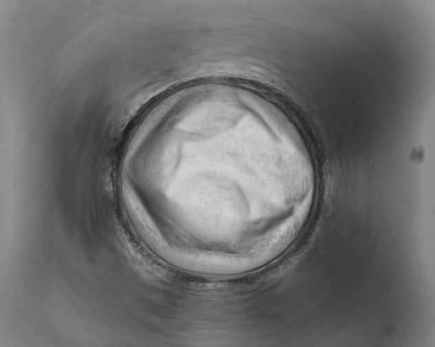 X0000111601497200908061402