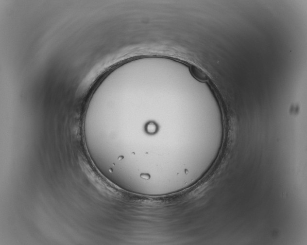 X0000111601499200908061402