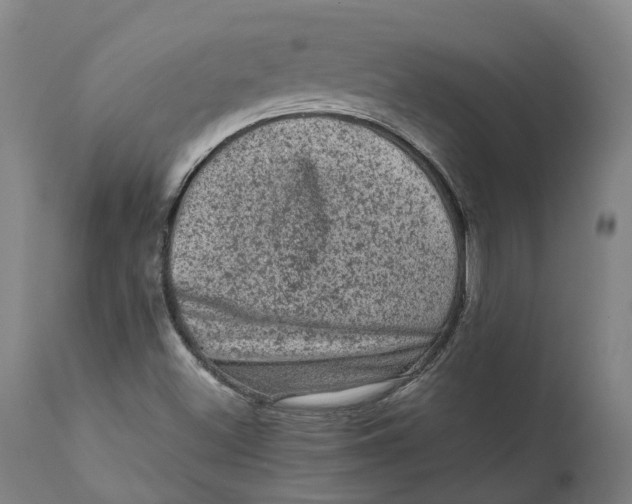 X0000111601500200908061402