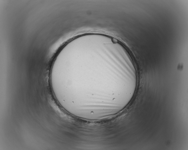 X0000111601503200908061402