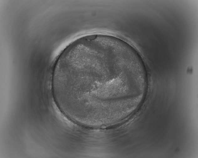 X0000111601504200908061402