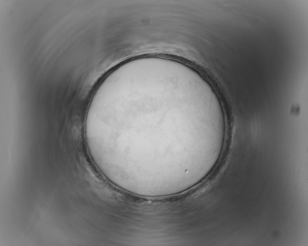 X0000111601505200908061402