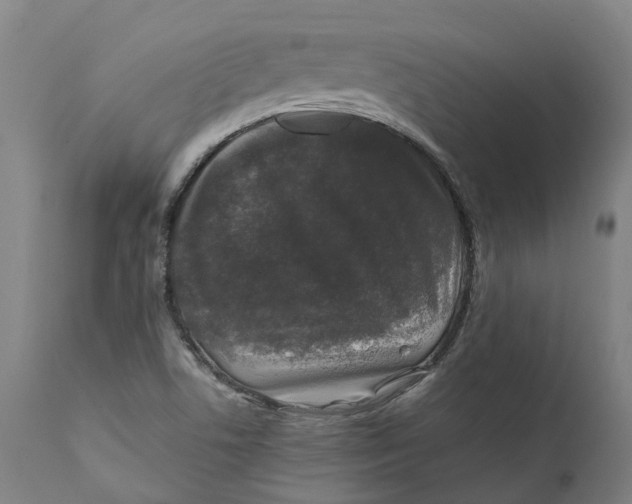 X0000111601506200908061402