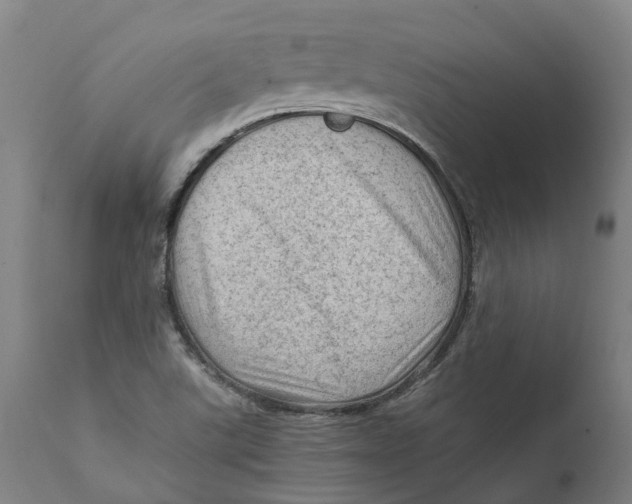 X0000111601507200908061402