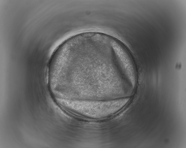 X0000111601510200908061402