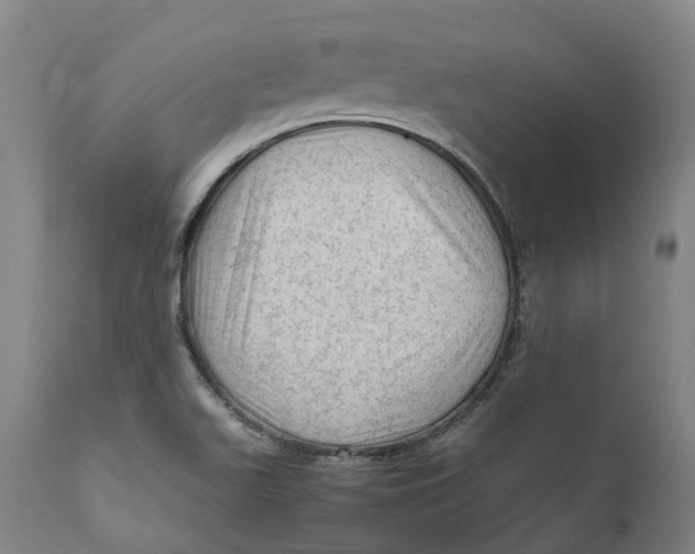 X0000111601511200908061402
