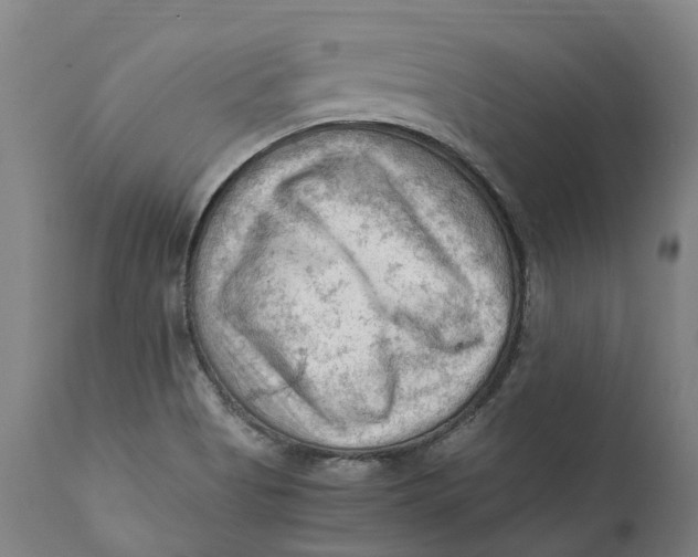 X0000111601513200908061402
