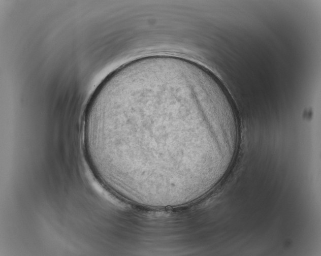 X0000111601515200908061402