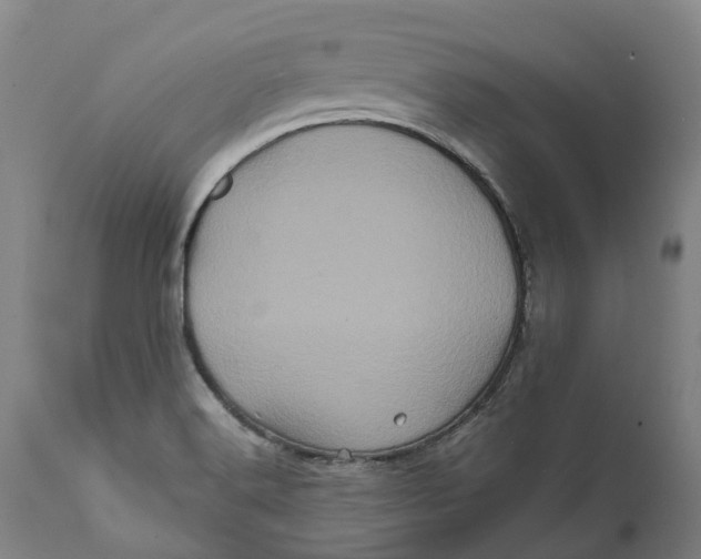 X0000111601516200908061402