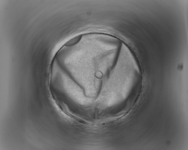 X0000111601520200908061402