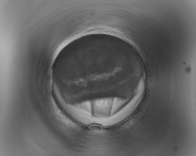 X0000111601522200908061402