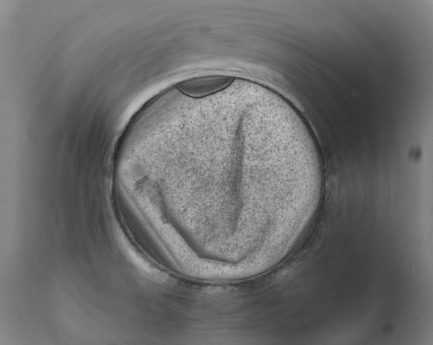 X0000111601523200908061402
