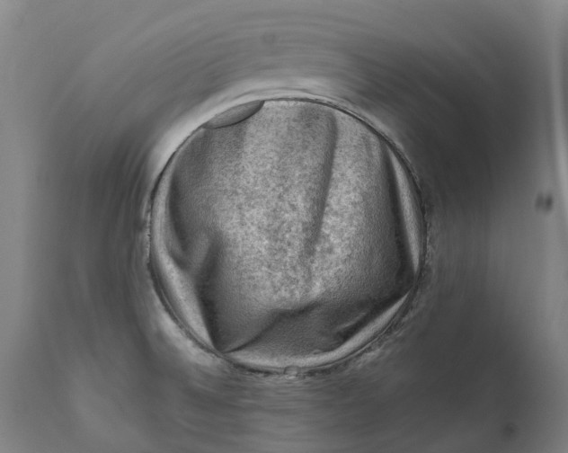 X0000111601524200908061402