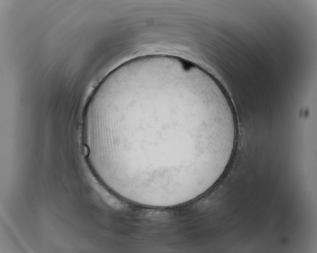 X0000111601525200908061402