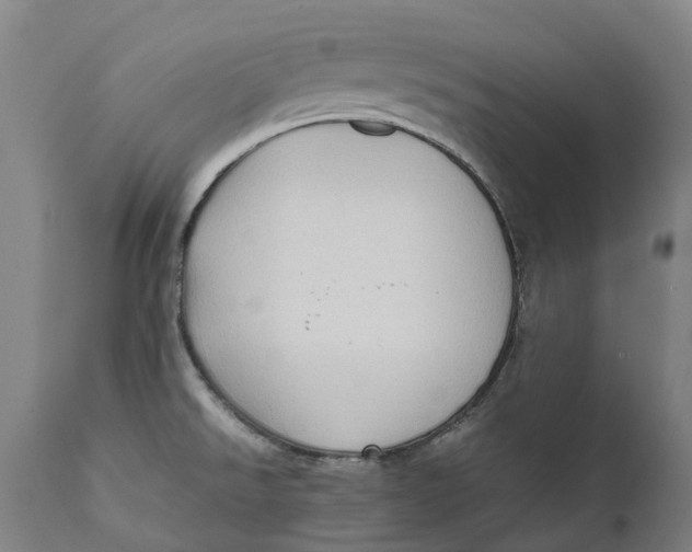 X0000111601526200908061402