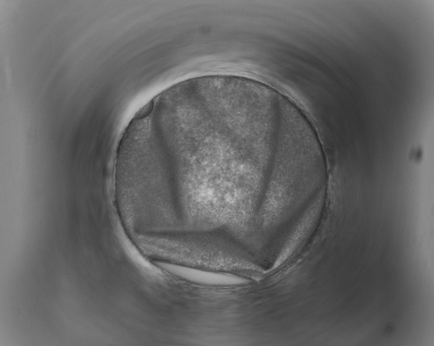 X0000111601528200908061402