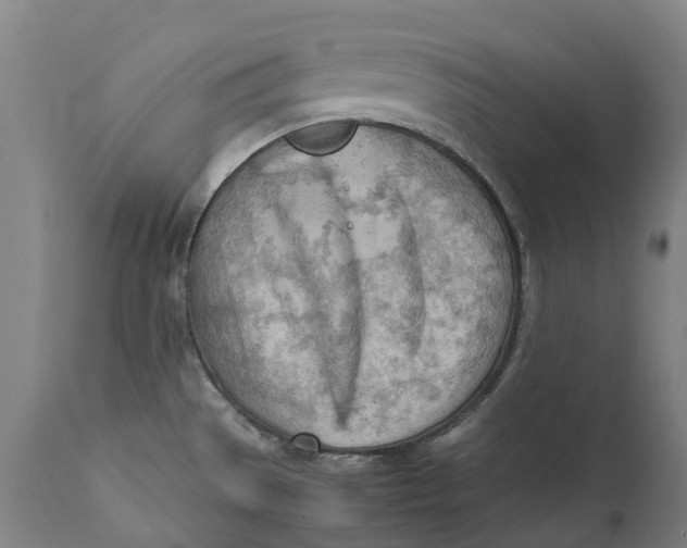 X0000111601529200908061402