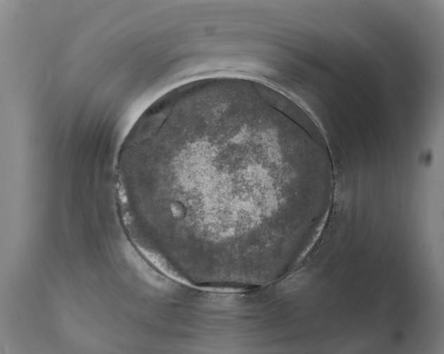 X0000111601532200908061402