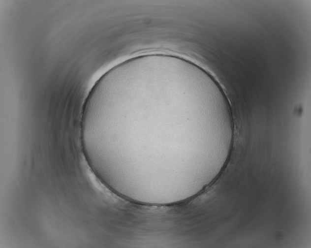 X0000111601534200908061402