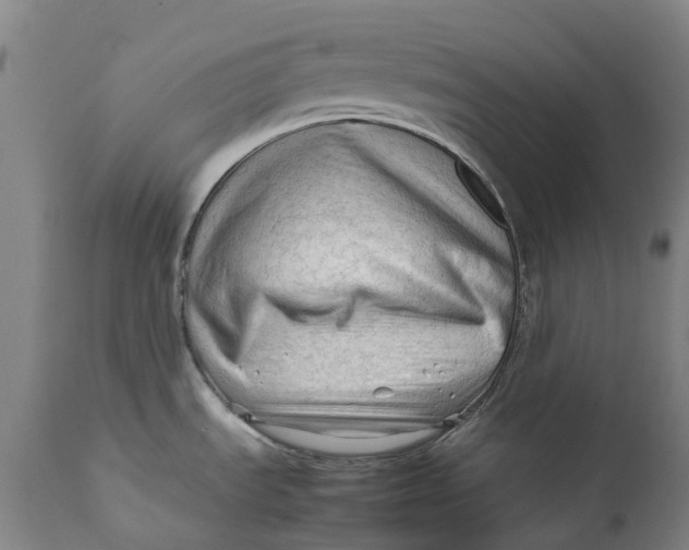 X0000111601535200908061402