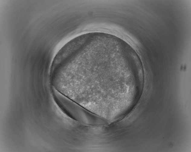 X0000111601536200908061402