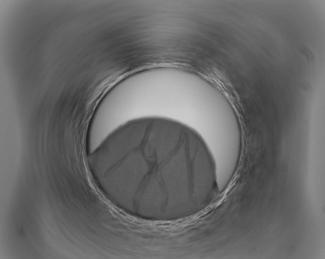 X0000111600001200908131414