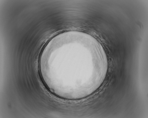 X0000111600002200908131414