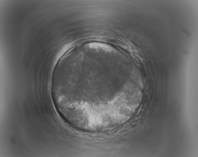 X0000111600003200908131414