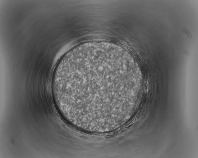 X0000111600004200908131414