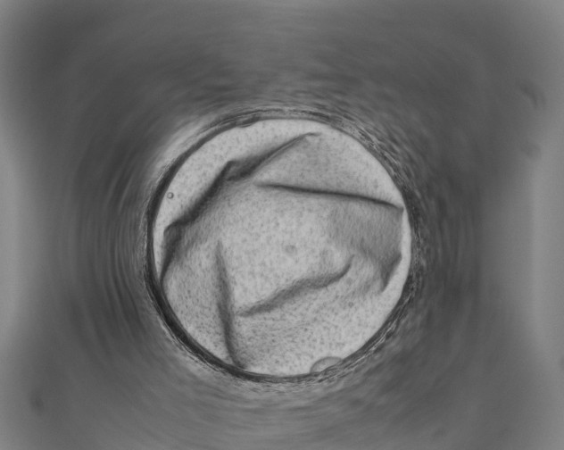 X0000111600005200908131414