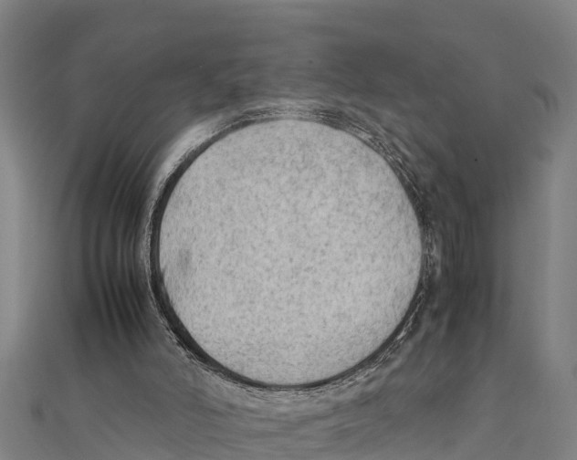 X0000111600006200908131414