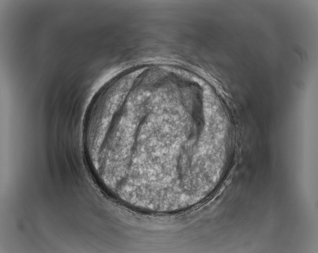X0000111600008200908131414