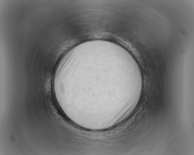 X0000111600010200908131414