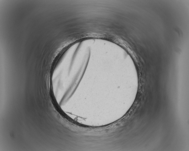 X0000111600011200908131414