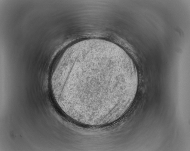 X0000111600012200908131413
