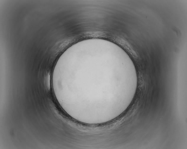 X0000111600014200908131413