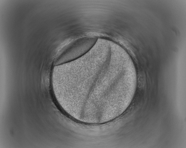 X0000111600015200908131413